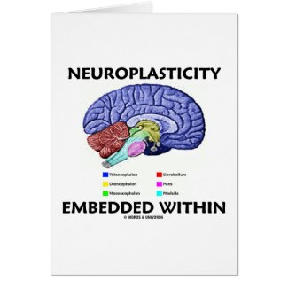 Neuroplasticity Embedded Within (Brain Anatomy) Cards