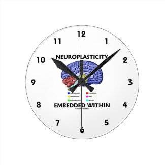 Neuroplasticity Embedded Within (Brain Anatomy) Wallclocks