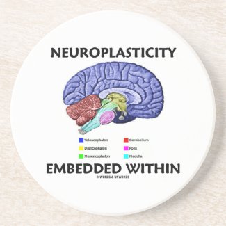 Neuroplasticity Embedded Within (Brain Anatomy) Coaster