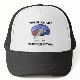 Neuroplasticity Embedded Within (Brain Anatomy) hat