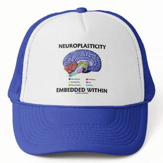 Neuroplasticity Embedded Within (Brain Anatomy) hat