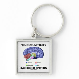 Neuroplasticity Embedded Within (Brain Anatomy) keychain