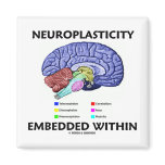 Neuroplasticity Embedded Within (Brain Anatomy) Fridge Magnet