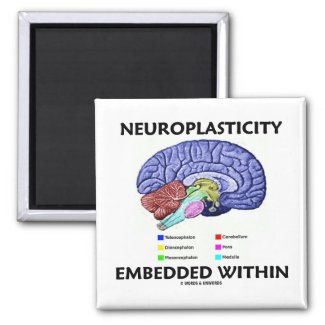 Neuroplasticity Embedded Within (Brain Anatomy) Fridge Magnet