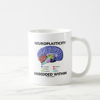 Neuroplasticity Embedded Within (Brain Anatomy) Mugs