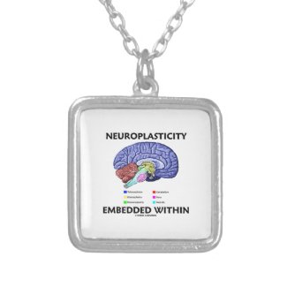 Neuroplasticity Embedded Within (Brain Anatomy) Jewelry