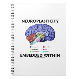 Neuroplasticity Embedded Within (Brain Anatomy) Note Books