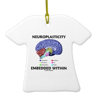 Neuroplasticity Embedded Within (Brain Anatomy) Christmas Ornaments
