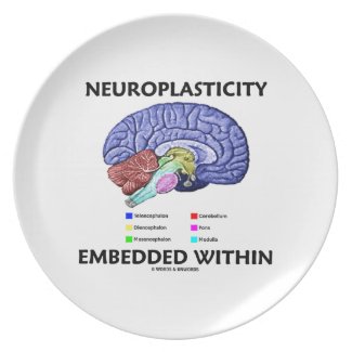 Neuroplasticity Embedded Within (Brain Anatomy) Dinner Plate