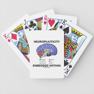 Neuroplasticity Embedded Within (Brain Anatomy) Poker Cards