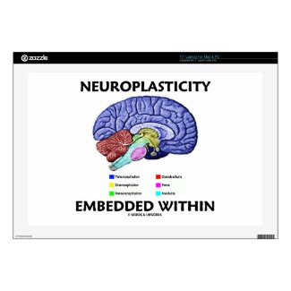 Neuroplasticity Embedded Within (Brain Anatomy) Laptop Decal