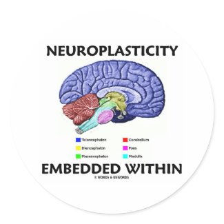 Neuroplasticity Embedded Within (Brain Anatomy) sticker
