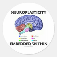 Neuroplasticity Embedded Within (Brain Anatomy) Round Stickers