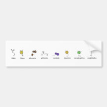 Neurotransmitter Parade Bumper Stickers