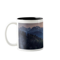 Neuschwanstein Castle, built late 1800's by Coffee Mug