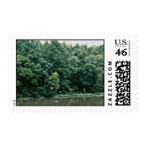 Neuse River Postage Stamp