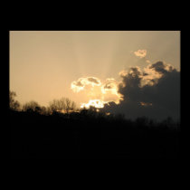 Neutrals sunset posters