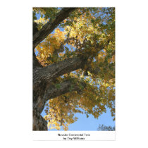 Nevada Centennial Tree posters