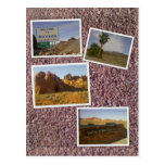 Nevada - Desert scenes Post Cards