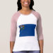 Ladies 3/4 Sleeve Raglan (Fitted)
