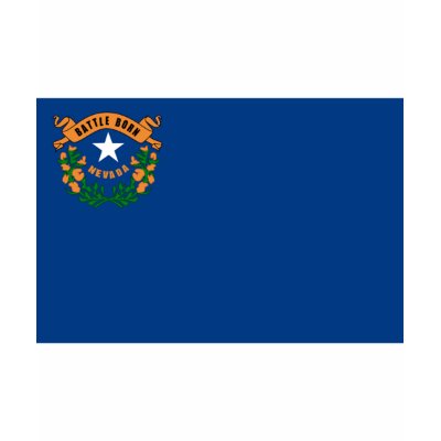 Nevada FLAG International Tee Shirt by flagshirt