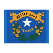 Nevada Flag Postcard