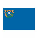 NEVADA FLAG t-shirts