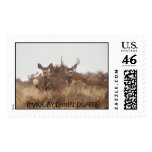 NEVADA MULE DEER, IMAGE BY DANIEL DUPREE POSTAGE STAMPS