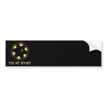 Never Again Bumper Sticker
