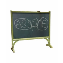 Never Assume t-shirt by teebag Never Assume t-shirt