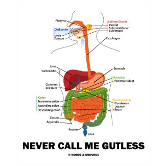 Never Call Me Gutless (Digestive System Humor) shirt