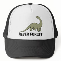 Never Forget hats