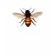 Never Forget Honey Bees Dark T-Shirt