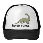 Never Forget Mesh Hat