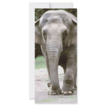 Never Forget rack cards by Fatmonkey Never Forget rack cards