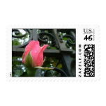 Never Forgotten Stamp