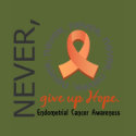 Never Give Up Hope...