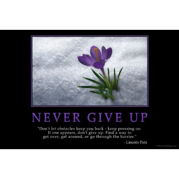 Never Give Up print