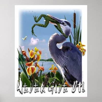 Never Give Up! Poster by marshbunny. A great blue heron tries to swallow a 