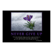 Never Give Up posters