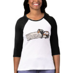 equine, horses, ponies, paint horse, pinto horse,