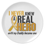 Never Knew a Hero 2 Daddy Appendix Cancer Party Plate