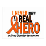 Never Knew A Hero 2 ORANGE (Grandson) Post Card