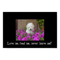 Never leave me ! posters
