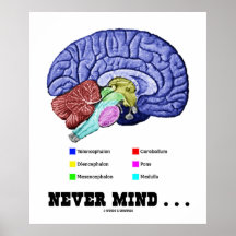 Never Mind . . . (Brain Anatomy Psyche Humor) Poster