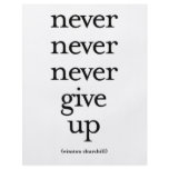Never Never Never Give Up Full Color Flyer