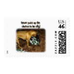 Never Pass Up The Chance to be Silly! postage
