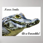 Never smile at a crocodile! posters