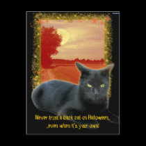 Never trust a black cat on Halloween postcards
