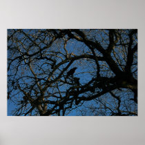 Nevermore posters
